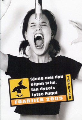 poster Lytse Fugel