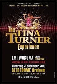 Poster Tina Turner Experience